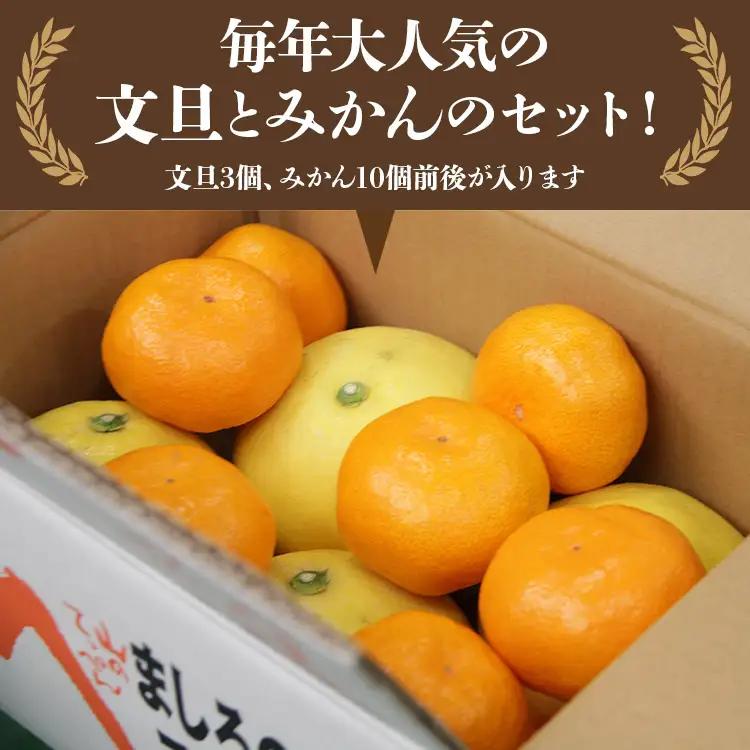 文旦とみかんのプチBOX 約3kg - 果物 くだもの フルーツ 柑橘類 ぶんたん ブンタン ミカン 詰め合わせ つめあわせ セット 食べ比べ お楽しみ おいしい 特産品 ms-0088