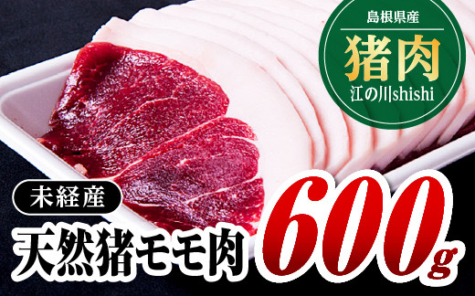 
江の川shishi 未経産 猪肉 600g AI-1 いのしし肉 イノシシ肉 モモ肉 ジビエ メス
