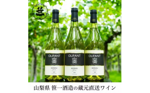 
【蔵元直送】笹一酒造のOLIFANT(オリファン)ワイン＜白＞甲州3本セット
