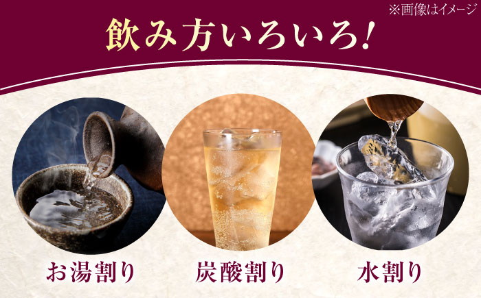 スイーツの香り！江田島の本格 芋焼酎 てくてく【安納芋】720ml×2本 さついまいも 人気 酒 食事 ギフト プレゼント 江田島市/峰商事 合同会社 [XAD075]