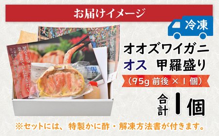 【訳あり】釜茹で　蟹好き集まれ！せいこがに（オオズワイガニ・メス）【甲羅盛60g前後 3個セット】 [A-096018] 