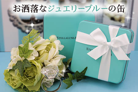 STELLALUNE＆Co.缶｜ステラリュヌ特製チャンククッキー詰め合わせ 焼菓子  [1491]