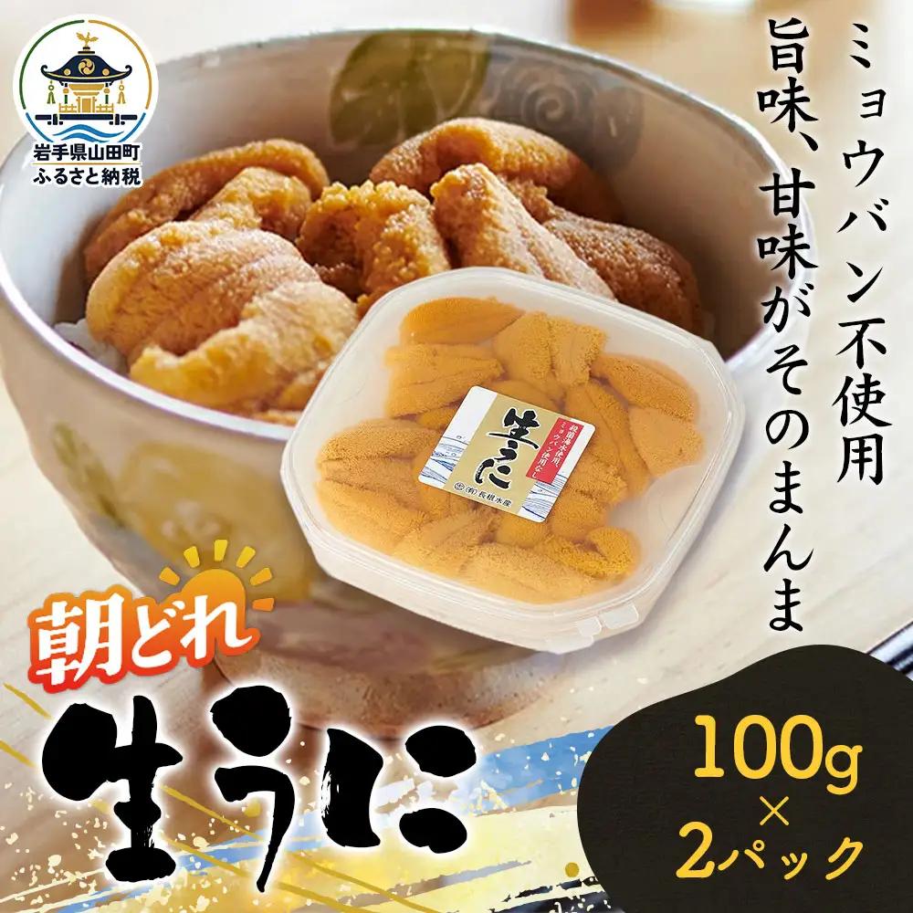 【無添加】生うに 100g 2パック 三陸産 長根水産 【2027年5月中旬以降発送 】 国産 三陸山田 岩手県 山田町 三陸 旬 うに 無添加 ウニ 雲丹 うに丼 無添加ウニ キタムラサキウニ 特選 ミョウバン不使用