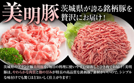 美明豚 切落し ひき肉 各 500g × 2パック 計2kg (茨城県共通返礼品：茨城県産) 4パック ワークミート《30日以内に出荷予定(土日祝除く)》茨城県 河内町 SPF豚 びめいとん 部位 ひ
