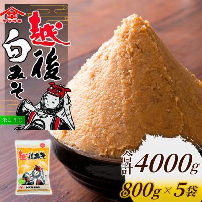 ふるさと納税 小千谷市 山崎醸造 越後みそ白 800g×5個 白味噌 調味料 発酵食品 新潟県 小千谷市