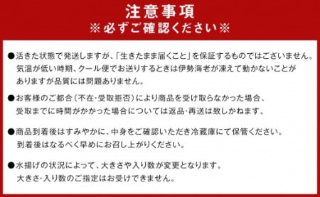 冷凍 伊勢海老 お鍋用 約 2.5kg 産地直送