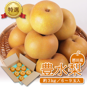 SA3034　酒田産【特選】豊水梨　約3kg(6～9玉入)
