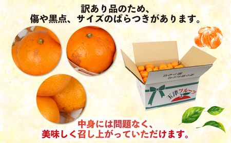 訳あり 早生 みかん 9kg 河野農園 温州みかん 早生みかん 早生温州 温州 蜜柑 mikan 愛媛みかん 愛媛蜜柑 愛媛ミカン 果物 くだもの フルーツ おすすめ 人気のみかん 訳アリ 訳あり品 