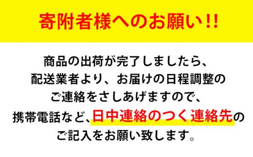 ヱビス自転車　子供自転車  エッセ26インチ  シマノ製外装6段変速　シルキーパール