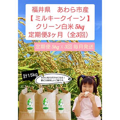 ふるさと納税 あわら市 【毎月定期便】クリーン白米 ミルキークイーン 5キロ　全3回