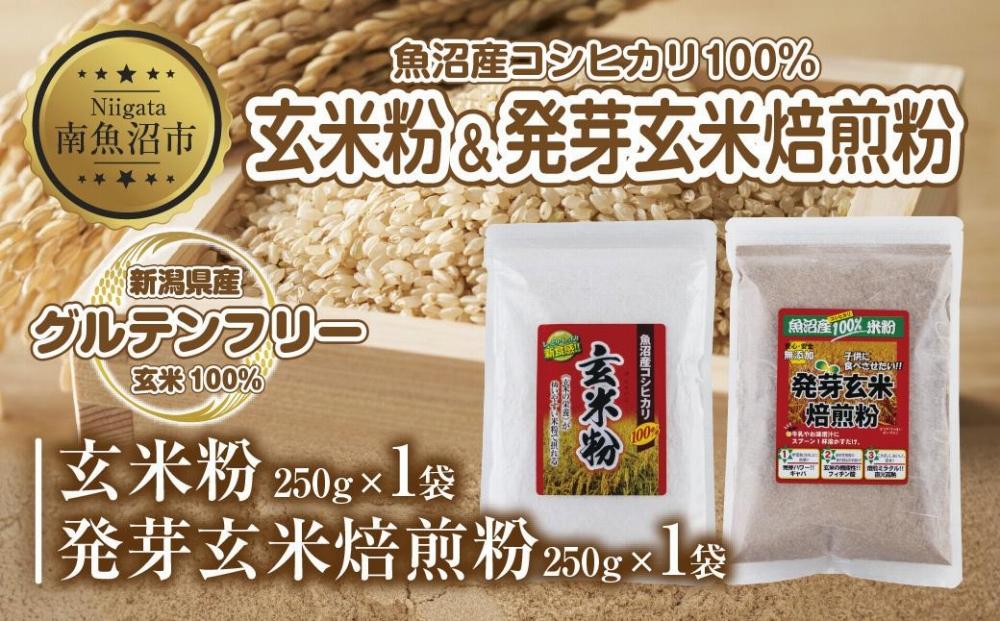 ES490 新潟県産 玄米粉 発芽玄米焙煎粉 セット 各250g 計500g 魚沼産 コシヒカリ 玄米 アレルギー グルテンフリー GABA 米粉 お取り寄せ お菓子 パン作り 製菓 コパフーズ 新潟県 南魚沼市