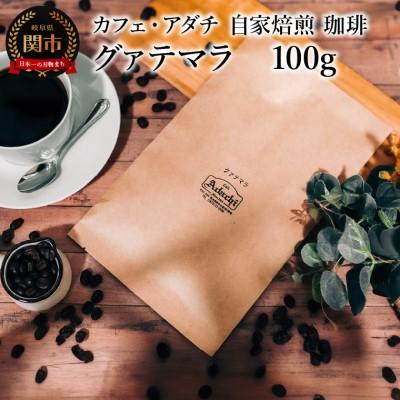 ふるさと納税 関市 グァテマラ 100g (約10杯分)カフェ・アダチBN-034