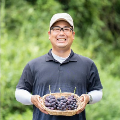 お試しサイズ約1kg　梅田農園の種無し巨峰　朝採りした物をその日の内に発送　8月より順次発送予定【配送不可地域：離島】