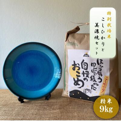 ふるさと納税 多治見市 【令和7年産:精米】特別栽培米コシヒカリ(9kg)+【美濃焼】青輝貫入7寸皿