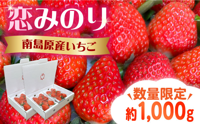 【2025年1月～発送】南島原産 いちご 『恋みのり』約250g×4パック / フルーツ 果物 / 南島原市 / あゆみfarm [SFF001]