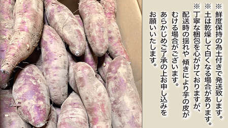 【 先行予約 2024年10月下旬以降発送 】 訳あり 無選別 八千代町産 シルクスイート 生芋 土付き 約 5kg さつまいも サツマイモ 芋 いも イモ ワケアリ 訳アリ 八千代町 ふるさと納税 