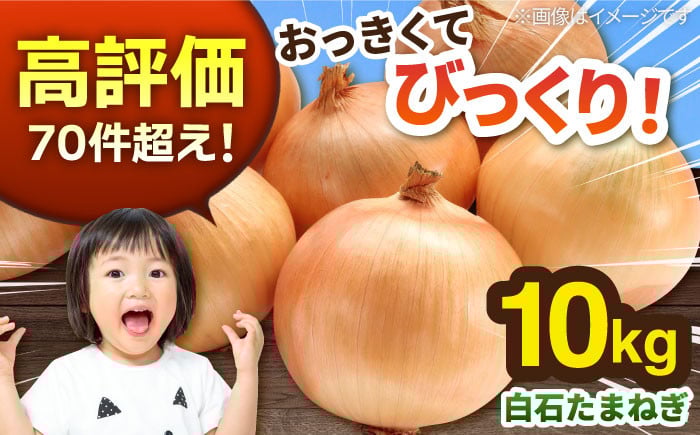 
【先行予約】白石産たまねぎ 約10kg / 玉ねぎ 玉葱 タマネギ たまねぎ [IZZ001]
