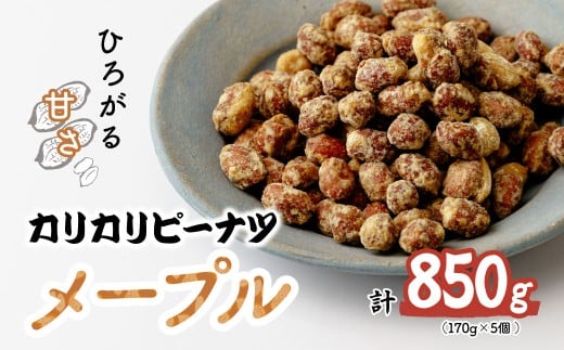 おつまみピーナッツ カリカリぴーなつ メープル 170g×5個入り 850g | ピーナツ ぴーなっつ ピーナッツ ぴーなつ  おつまみ お菓子 おやつ 落花生 ピーナッツ メープル 軽食 酒のつまみ 家飲み ティータイム 間食 鳩屋 埼玉県 北本市