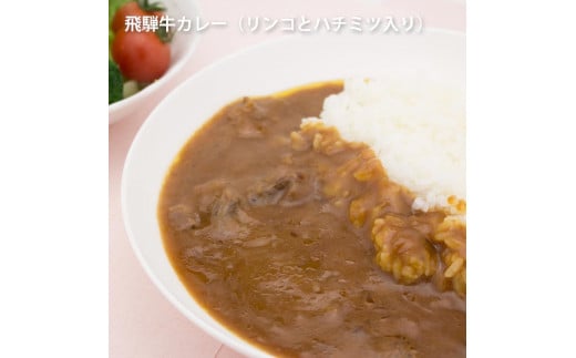りんごとはちみつ入り飛騨牛カレー　1袋×20　（20食）飛騨市