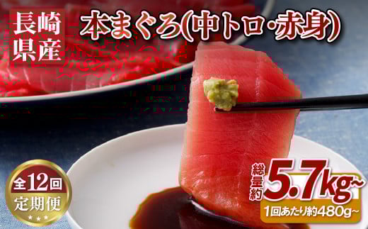 A134p 【全12回定期便 総計5.76kg】長崎県産 本マグロ (中トロ・赤身)  計480g以上 海鮮丼のタレ付き【本家永松家】マグロ まぐろ 鮪 中トロ 中とろ 赤身 刺身 海鮮丼 定期便 頒布会