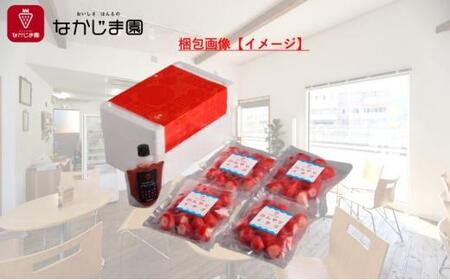 ひんやりイチゴ セット (きらぴ香 冷凍苺 250g 4袋, 苺ジャム チューブ 170g 1個) 冷凍 なかじま園 自宅で かき氷 パフェ いちご 苺 国産 フルーツ くだもの