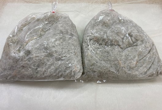 訳あり不揃い釜揚げシラス500g袋入り×2袋　3か月連続発送