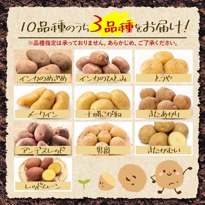 じゃがいも詰め合わせセット 3kg 10種のうち3種をお届け《9月上旬-12月末頃出荷予定》