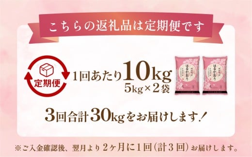 【2ヶ月毎3回定期便】はるかおり10kg