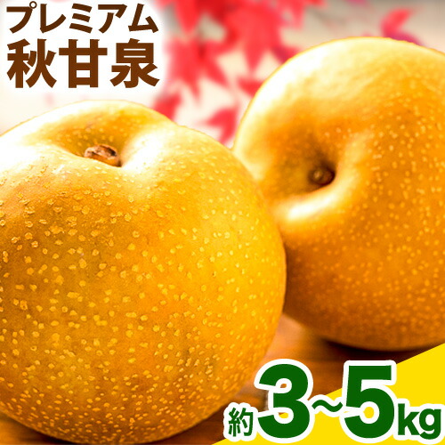 【2026年先行予約】プレミアム 秋甘泉 選べる 約 3kg (4～10玉) 約 5kg (7～16玉) 高間商店《2026年8月下旬-10月上旬頃出荷予定》鳥取県 八頭町 梨 なし ナシ 果物 フルーツ プレミアム　果汁　ふるさと納税　秋甘泉梨　果実　甘い　高間商店　オリジナル品種