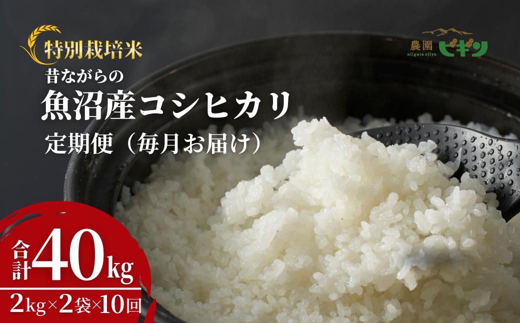 令和7年産 昔ながらの魚沼産コシヒカリ 精米40kg(2kg×2袋×毎月全10回) 農園ビギン 【0002-BN08DB00-01】
