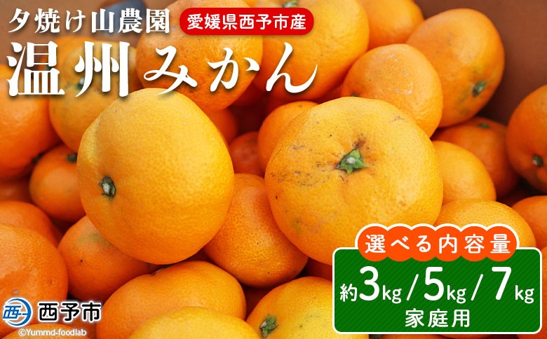 
                  夕焼け山農園 愛媛県西予市産 温州みかん 家庭用 約3kg／5kg／7kg 果物 フルーツ ミカン 蜜柑 柑橘 なんかん 訳あり うんしゅうみかん ウンシュウ 特産品 愛媛県 西予市 【常温】
                