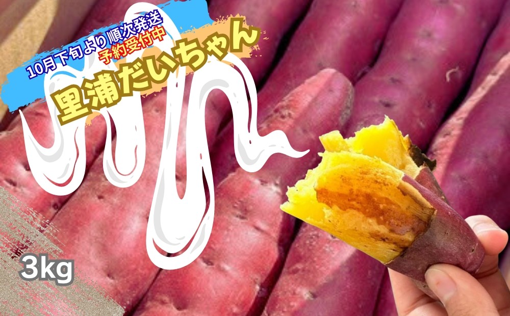 
            鳴門産 さつまいも 『 里浦だいちゃん 』 3kg | なると金時 甘い ホクホク スイーツ 焼き芋 干し芋 天ぷら サラダ けんぴ きんつば
          