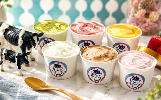 Queen’s Gelato レギュラーカップ6個（6種）アソート 100ml×6個 （6種 各1個） | クイーンファーム クイーンズジェラート ジェラート 贈物 贈答 プレゼント ミルク クイーン
