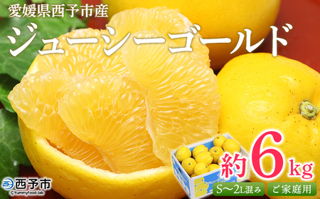＜ジューシーゴールド（河内晩柑） ご家庭用 約6kg＞ 訳あり 果物 フルーツ かわちばんかん じゅーしーごーるど みかん 蜜柑 オレンジ 柑橘 食べて応援 特産品 宇都宮物産 愛媛県 西予市 【常温】『2026年4月中旬～6月中旬迄に順次出荷予定』UUB0011