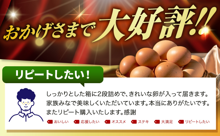 【全2回定期便】特選 素直な恋たまご 50個 《壱岐市》【しまのたまご屋さん】 [JAP022] 卵 たまご 鶏卵 玉子 ギフト 国産 卵かけご飯 たまごかけご飯 のし 定期便 [JAP022]