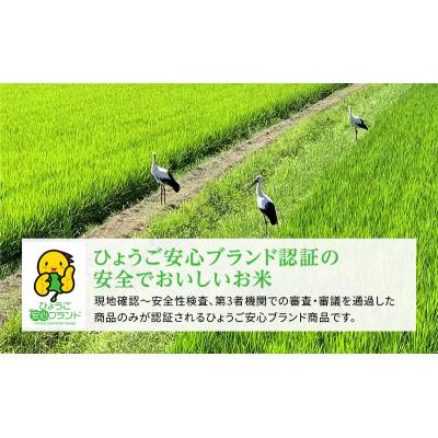 ふるさと納税 加西市 お米 定期便 きぬむすめ 白米 6kg(3kg×2袋) 3ヶ月連続お届け [No5698-1821] |  | 02
