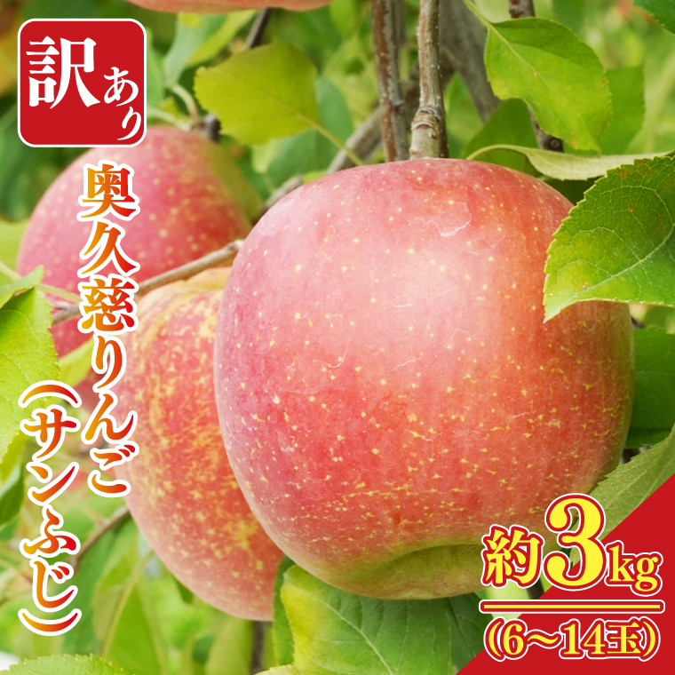 【訳あり】樹上完熟の奥久慈りんご「サンふじ」約3kg（6～14玉）不揃い 規格外 傷あり 色むら 家庭用｜斉藤りんご園第2直売所 茨城県 大子町 林檎 果物 フルーツ 旬（CG010-1）
