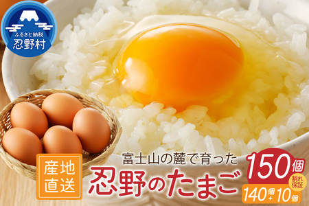 富士山の麓で育った産地直送 ”忍野の卵”※卵140個+割れ保証10個　計150個