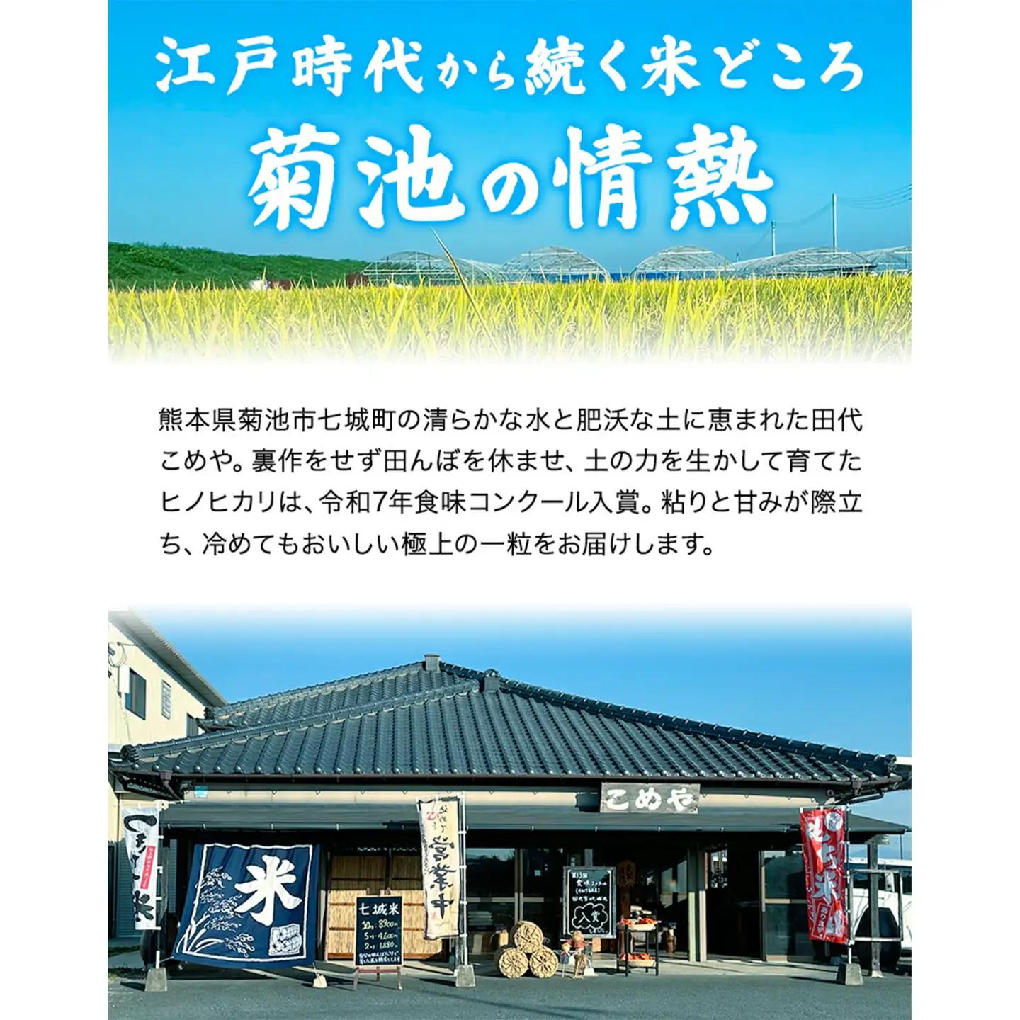 【6ヶ月定期便 】令和7年産 菊池市七城町産 田代家の七城米 七城ヒノヒカリ 白米 2kg 田代こめや《お申し込み月の翌月から出荷開始》熊本県 菊池市 米 お米 精米 ひのひかり 菊池市産 熊本県産 