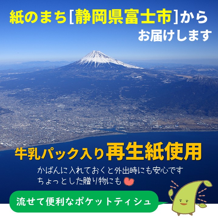 水に流せるポケットティッシュ１６個入り×３０パック　計４８０個）【配送不可地域：沖縄本島・離島】（1975）