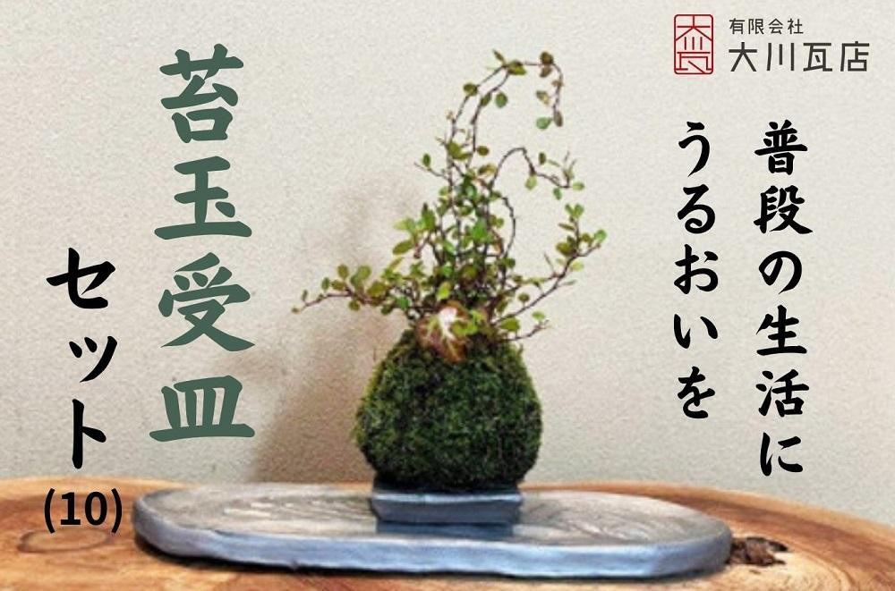 
苔玉・受皿　セット（10）
