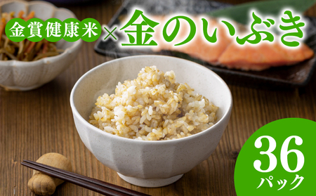 【 ご飯パック 】 金賞 健康米 金のいぶき 120g×36個入り ご飯パック