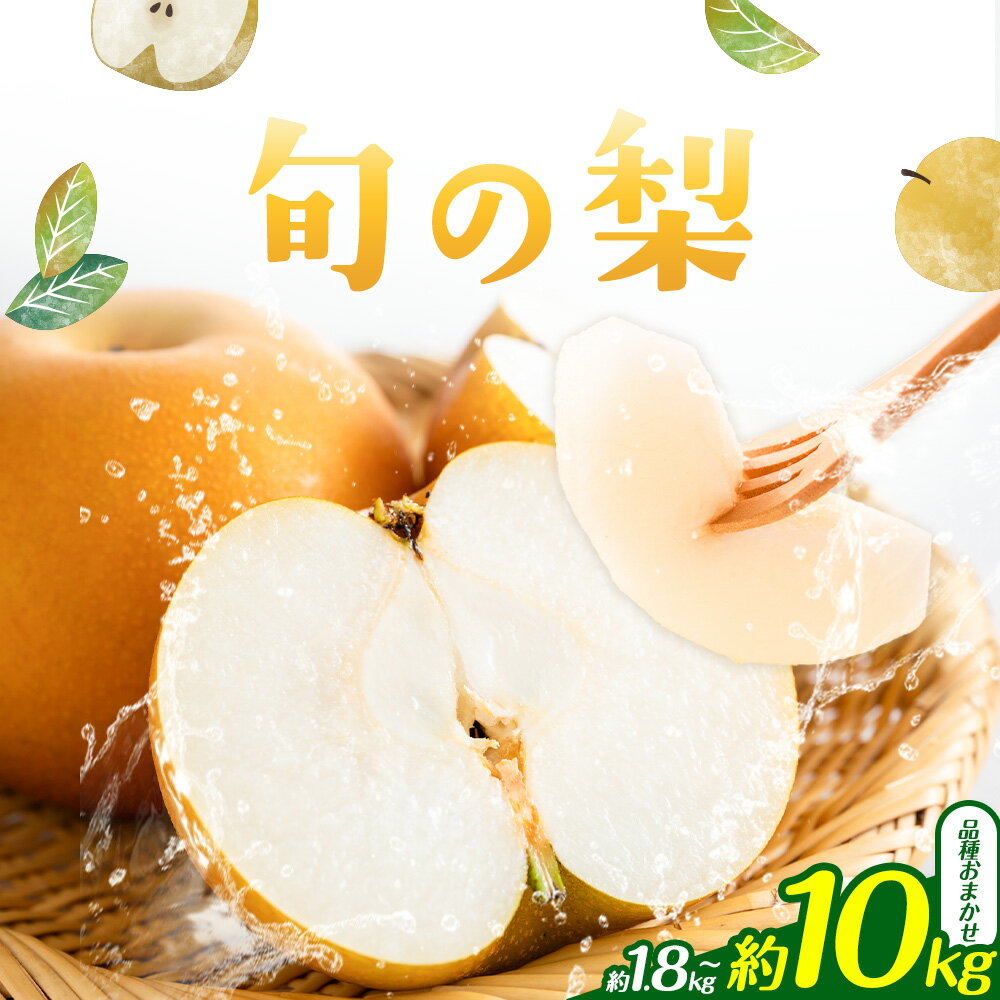 【ふるさと納税】【先行予約】旬の梨 品種おまかせ 選べる 内容量 約1.8kg 約3kg 約5kg 約10kg 日本フルーツ株式会社《2026年8月上旬-10月上旬頃出荷》熊本県 菊池市 梨 なし 豊水 秋月 新高 和梨 熊本県産