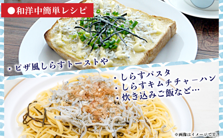 ＜老舗網元 濱田屋の釜あげしらす 計1kg（100g×10袋）＞『1か月以内に順次出荷予定』 数量限定 化粧箱 簡易包装 選べる 釜揚げ シラス じゃこ 海鮮 海産物 丼 小魚 乾物 小分け カルシウ
