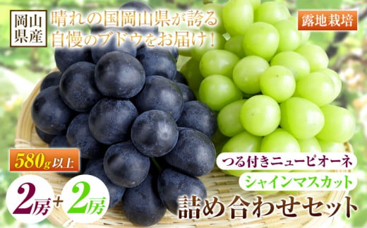 234.岡山県産 つる付き！ニューピオーネ 2房 1房あたり580g & シャインマスカット 2房 1房あたり580g セット 露地栽培【配送不可地域あり】ニューピオーネ シャインマスカット《9月上旬-10月末頃に出荷予定(土日祝除く)》 岡山県 矢掛町 晴王 ぶどう 詰め合わせ 果物