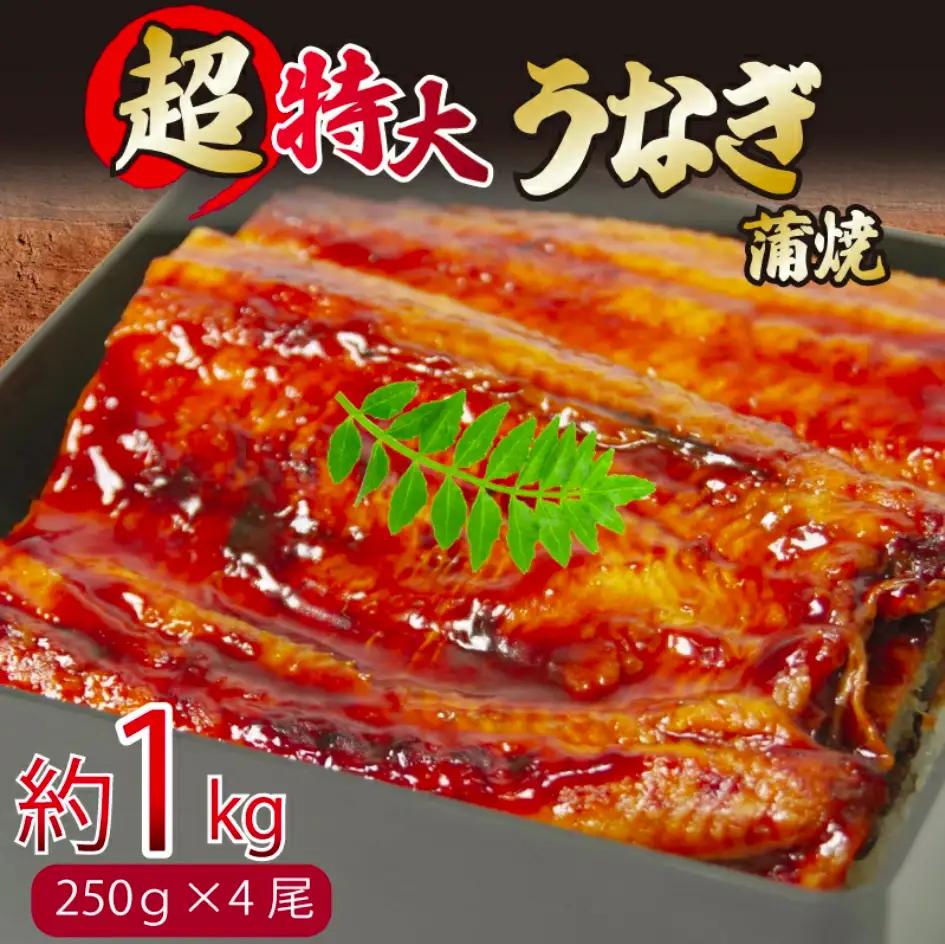 うなぎ 蒲焼 特大 4尾 約1kg うなぎ