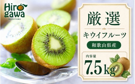 
                  キウイ 厳選 7.5kg+250g（痛み補償分）【ikd505-p-7d5】
                