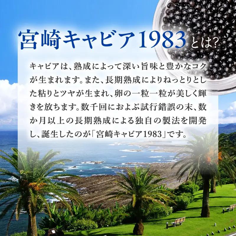宮崎キャビア1983 バエリ旨味(20g) 国産 宮崎県産 キャビア 20g 和風 日本料理 和食 寿司 刺身 珍味 ギフト 化粧箱入り