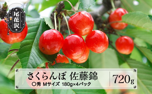 先行予約 さくらんぼ 佐藤錦 720g(180g×4パック) Mサイズ 〇秀 山形県産 令和9年産 2027年産 sb-snpmx800