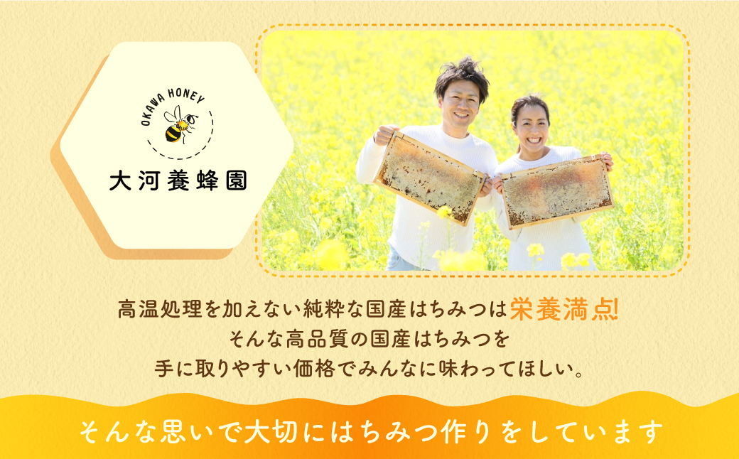 OKAWA HONEY 渥美半島産純粋百花はちみつ2本 蜂蜜 ハチミツ はちみつ お取り寄せ ご当地 グルメ 取り寄せ グルメ お土産 土産 純粋はちみつ ハニー 純粋ハチミツ 蜂 国産はちみつ 国産ハチミツ 産地直送 健康 送料無料